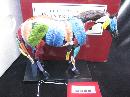 Trail of Painted Ponies Horsefeathers Horse Figurine 1E/3421 First 1st Edition