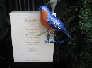 Hallmark 2010 Eastern Bluebird 6th In Beauty Of Birds Series