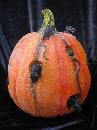 New Halloween Pumpkin With Black Mice Tabletop Display