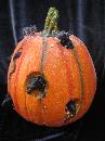 New Halloween Pumpkin With Black Mice Tabletop Display
