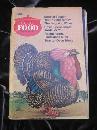 Vintage Good Food November 1973 Recipe Cookbook