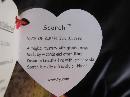Ty Scorch The Dragon Retired Beanie Baby