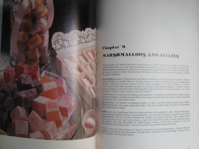 The Complete Wilton Book Of Candy Copyright 1981 1st Edition Vintage