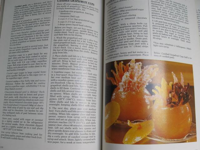 The Complete Wilton Book Of Candy Copyright 1981 1st Edition Vintage
