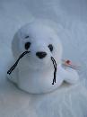 Ty Seamore The White Seal Retired Beanie Baby MWMT's