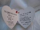 Ty Seamore The White Seal Retired Beanie Baby MWMT's