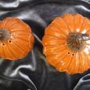 New Hallmark 2012 Pumpkin or Gourds Thanksgiving Fall Salt & Pepper Shakers