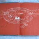 The New Good Housekeeping Cookbook Copyright 1963