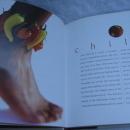 InterCourses An Aphrodisiac Cookbook First Edition