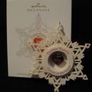 Hallmark 2012 Forever Family Christmas Tree Ornament