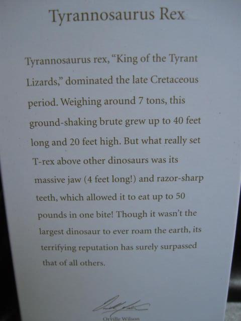 Hallmark 2012 Tyrannosaurus Rex Christmas Tree Ornament