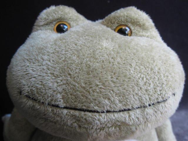 Baby Ty Ty Pluffies Ponds The Frog Beaded Eyes