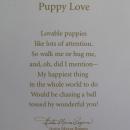 Hallmark 2010 Puppy Love King Charles Spaniel #20 In Series Christmas Tree Ornament