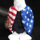Ty Soar The Patriot Eagle Retired Beanie Baby