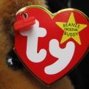 Ty Humphrey The Camel Beanie Buddy New With Tags