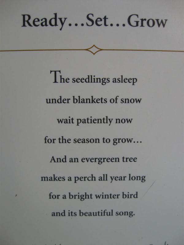 Hallmark 2006 Ready Set Grow Garden Gardener Gardeining Christmas Ornament Winter Garden Collection