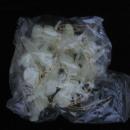 60 Luminous Glow In The Dark Angels Cherubs Feather Christmas Tree Ornaments In Original Box