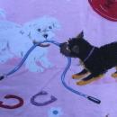 Nick & Nora Pink Puppy Dog Kitty Pajama PJ's Bottoms Size S