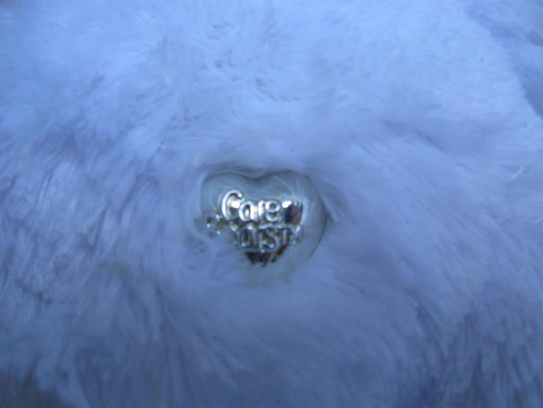 Limited Edition 25th Anniversary Silver Tenderheart Care Bear 7