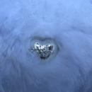Limited Edition 25th Anniversary Silver Tenderheart Care Bear 7