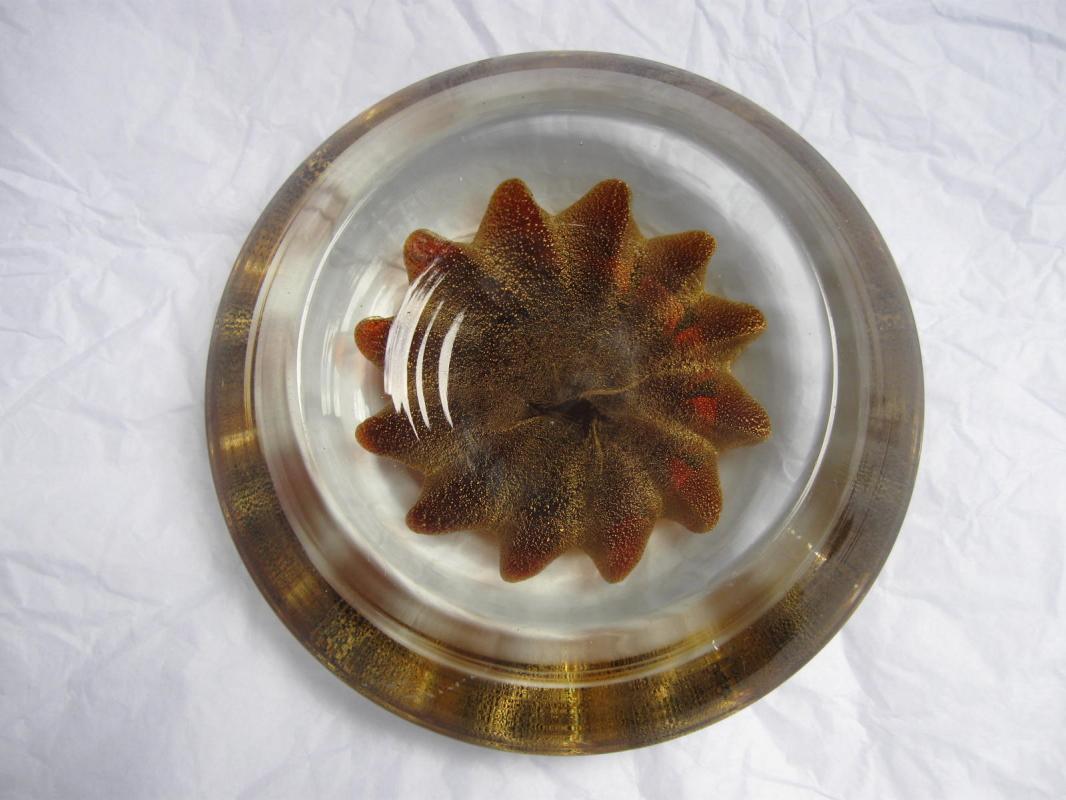 Large Concave Gold Star Paperweight or Candy Dish