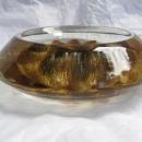 Large Concave Gold Star Paperweight or Candy Dish