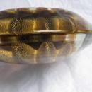 Large Concave Gold Star Paperweight or Candy Dish