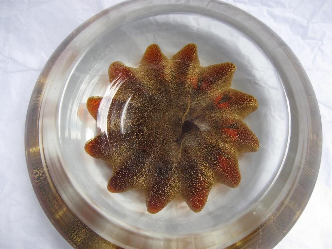Large Concave Gold Star Paperweight or Candy Dish