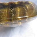 Large Concave Gold Star Paperweight or Candy Dish