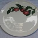 Vintage California Apple Poppytrail 13
