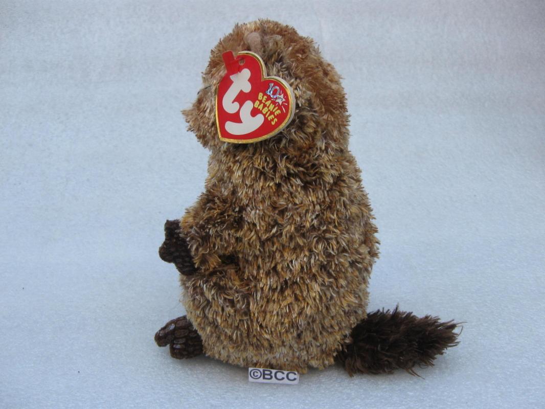 Ty Punxsutawn-e Punxsutawney Phil Groundhog 1st Beanie Baby 2002 2003 New