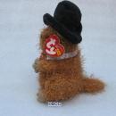 Ty Punxsutawney Phil 2005 Groundhog Day Beanie Baby