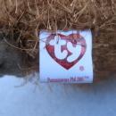 Ty Punxsutawney Phil 2005 Groundhog Day Beanie Baby
