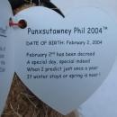 Ty Punxsutawney Phil Groundhog Day Beanie Baby 2004