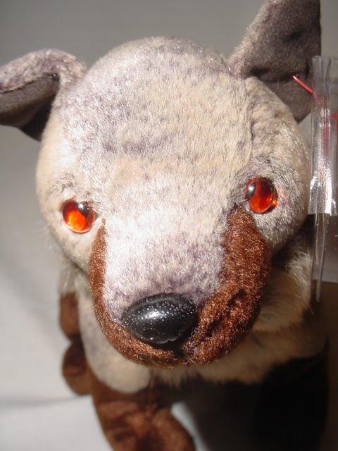 Ty Howl The Wolf Retired Beanie Baby - Great Halloween Decor!