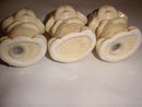 Vintage Anthropomorphic Sad Dog or Puppy Salt & Pepper Shakers + Toothpick Holder 3 Piece Set
