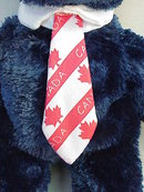 Ty Pops The Canadian / Canada Patriotic Beanie Baby Teddy Bear