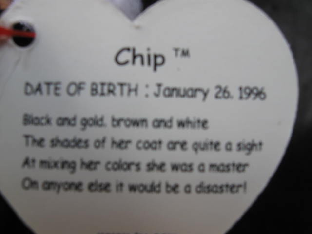 Ty Chip The Cat Beanie Baby