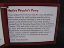 The Trail of Painted Ponies Retired NATIVE PEOPLE'S PONY 1 E/3818 Native Peoples Pony