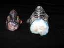 2 Vintage Gurley Fall & Thanksgiving Turkey Candles