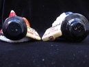 Comical Pig & Turkey Thanksgiving Shakers