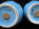 Vintage Blue Fruit Art Deco Salt & Pepper Shakers
