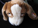 Ty Tracker The Basset Hound Puppy Dog Beanie Buddy