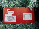 New 24 ' Vintage Velvet Green & Silver Tinsel