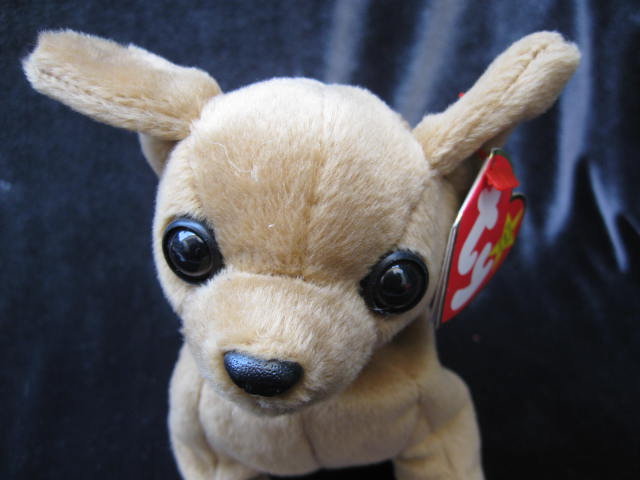 Ty Tiny The Chihuahua Dog Retired Beanie Baby