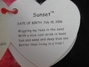 Ty Sunset The Pink Monkey Retired Beanie Baby