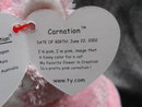 Ty Carnation The Pink & White Kitty Cat Retired Beanie Baby
