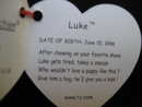 Ty Luke The Black Lab Pup Puppy Dog Retired Beanie Baby