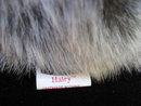 Ty Hairy The Tarantula Spider Retired Beanie Baby