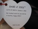 Ty New Year's Baby Babe-e Beanie Babies Kid